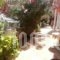Vigla_holidays_in_Apartment_Crete_Chania_Galatas