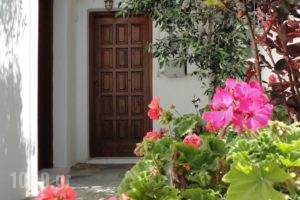 Studios Petros_best prices_in_Hotel_Cyclades Islands_Naxos_Naxos chora