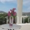 Hassouri Vasso Rooms_lowest prices_in_Room_Cyclades Islands_Paros_Piso Livadi