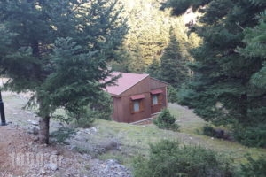 Kapsitsa Forest Village_best deals_Room_Central Greece_Fokida_Amfissa