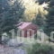 Kapsitsa Forest Village_best deals_Room_Central Greece_Fokida_Amfissa