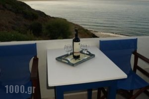 Ploimon Apartments_holidays_in_Apartment_Crete_Lasithi_Sitia