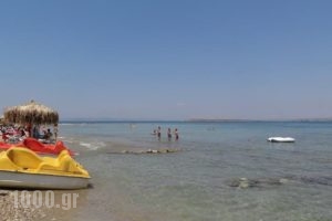 Agistri Hotel_best deals_Hotel_Piraeus Islands - Trizonia_Agistri_Agistri Rest Areas