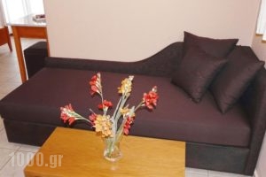 Aliston Hotel Studios_lowest prices_in_Hotel_Aegean Islands_Thasos_Thasos Chora