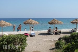 D'Andrea Mare Beach Hotel_travel_packages_in_Dodekanessos Islands_Rhodes_Archagelos