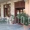 Papanastasiou_accommodation_in_Hotel_Thessaly_Trikala_Elati