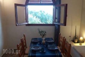 Elia Apartments_holidays_in_Room_Crete_Lasithi_Koutsounari