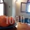 Elia Apartments_best deals_Room_Crete_Lasithi_Koutsounari