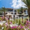 Panormos Beach_holidays_in_Hotel_Sporades Islands_Skopelos_Panormos