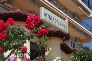 Balogiannis Hotel_holidays_in_Hotel_Macedonia_Pieria_Dion