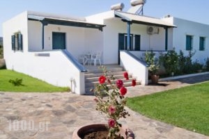 Fotini Apartments_accommodation_in_Apartment_Crete_Lasithi_Palaekastro