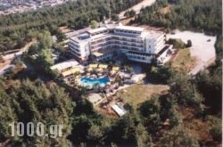 Philippion in Chalkidiki Area, Halkidiki, Macedonia