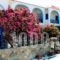 Koralli Studios_accommodation_in_Hotel_Cyclades Islands_Kea_Korisia