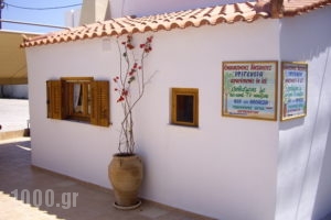 Ifigenia Apartments_best deals_Room_Piraeus Islands - Trizonia_Aigina_Agia Marina