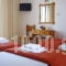Ifigenia Apartments_lowest prices_in_Room_Piraeus Islands - Trizonia_Aigina_Agia Marina