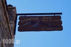 Olympios Zeus Hotel in Agistri Chora, Agistri, Piraeus Islands - Trizonia