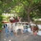 Pension Outopia_lowest prices_in_Room_Sporades Islands_Skopelos_Stafylos