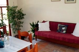 Pension'Sidon_holidays_in_Hotel_Peloponesse_Ilia_Olympia