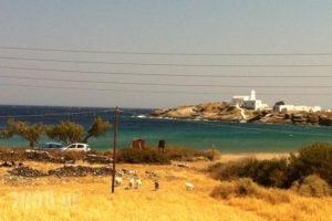 Papantonis Studios_lowest prices_in_Hotel_Cyclades Islands_Sifnos_Sifnos Chora