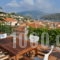 Elea Apartments_best prices_in_Apartment_Ionian Islands_Ithaki_Ithaki Rest Areas