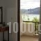 Georgiou Rooms & Apartments_accommodation_in_Apartment_Central Greece_Evia_Rovies