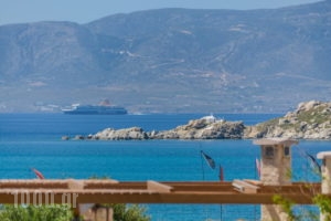 Diamantis studios_lowest prices_in_Apartment_Cyclades Islands_Naxos_Mikri Vigla