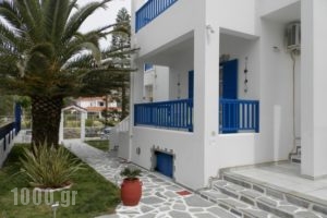 Villa Dora Studios 2_lowest prices_in_Villa_Cyclades Islands_Andros_Batsi