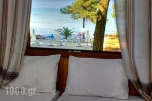 Loutrou Beach Bungalows_accommodation_in__Aegean Islands_Thasos_Thasos Chora