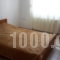 Irini Apartments_best prices_in_Room_Macedonia_Kavala_Keramoti