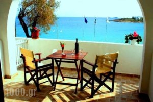 Logaras Apartments_best prices_in_Apartment_Cyclades Islands_Paros_Piso Livadi