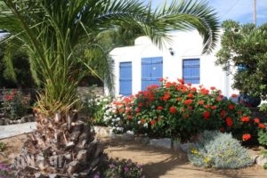 Sun Rock Apartments_best deals_Apartment_Cyclades Islands_Naxos_Agios Prokopios