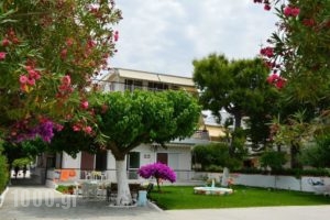 Akrogiali_accommodation_in_Apartment_Central Greece_Evia_Amaranthos