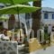 Poseidon Studios_best deals_Apartment_Dodekanessos Islands_Astipalea_Analipsi