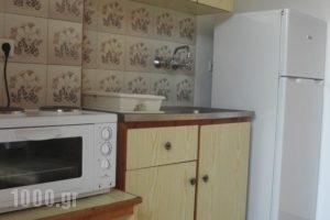 Thomas Apartments_holidays_in_Apartment_Epirus_Preveza_Kamarina