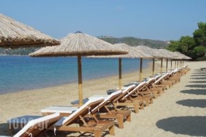 Skiathoslidays_accommodation_in_Hotel_Sporades Islands_Skiathos_Skiathoshora