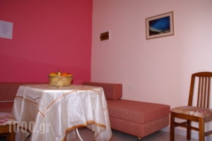 Arokaria_best deals_Apartment_Ionian Islands_Kefalonia_Mousata