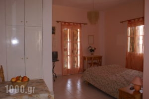Arokaria_accommodation_in_Apartment_Ionian Islands_Kefalonia_Mousata