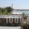 Summer Times Studios_holidays_in_Hotel_Cyclades Islands_Naxos_Naxos chora
