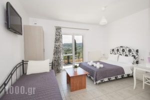 Panorama Studios_best prices_in_Apartment_Central Greece_Evia_Kymi