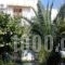 Sissy Hotel_holidays_in_Hotel_Piraeus islands - Trizonia_Aigina_Aigina Rest Areas
