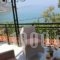 Vanessa Studios_accommodation_in_Hotel_Ionian Islands_Zakinthos_Zakinthos Rest Areas