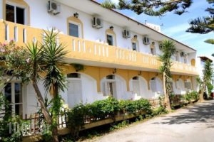 Dias_holidays_in_Apartment_Crete_Chania_Koyrnas