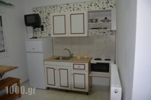 Panorama_holidays_in_Apartment_Peloponesse_Ilia_Skafidia