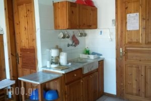 Vasso Afissos Studios_best deals_Apartment_Thessaly_Magnesia_Afissos