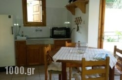 Vasso Afissos Studios in Athens, Attica, Central Greece