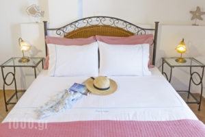 Aspro Mple Studios_holidays_in_Apartment_Dodekanessos Islands_Astipalea_Astipalea Chora