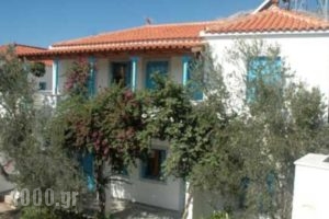 Gardenia_holidays_in_Hotel_Aegean Islands_Samos_Kambos