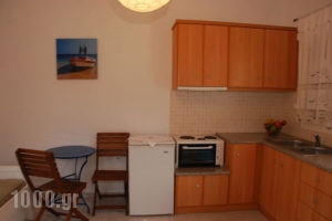 Vrisiana studios_accommodation_in_Room_Cyclades Islands_Sifnos_Sifnosora