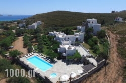 Villa Sofia in Agios Petros, Andros, Cyclades Islands