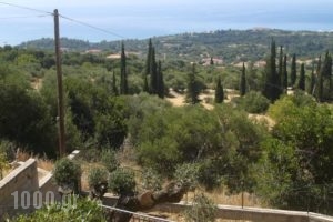Aristea Studios_holidays_in_Hotel_Ionian Islands_Kefalonia_Kefalonia'st Areas